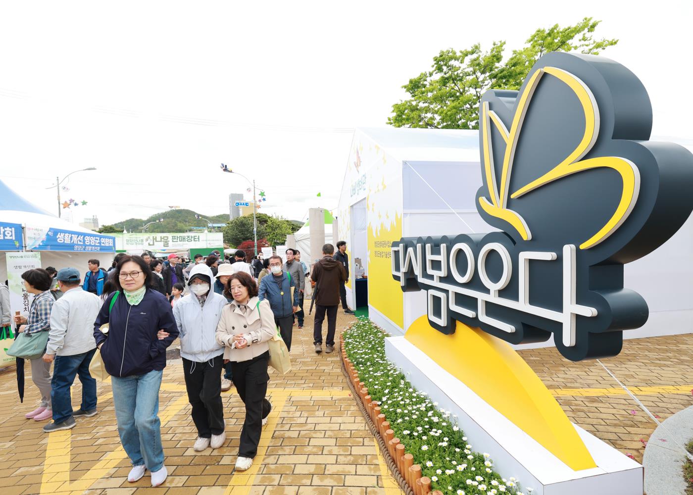 5-3 사진(영양군, 다시봄은온다).jpg