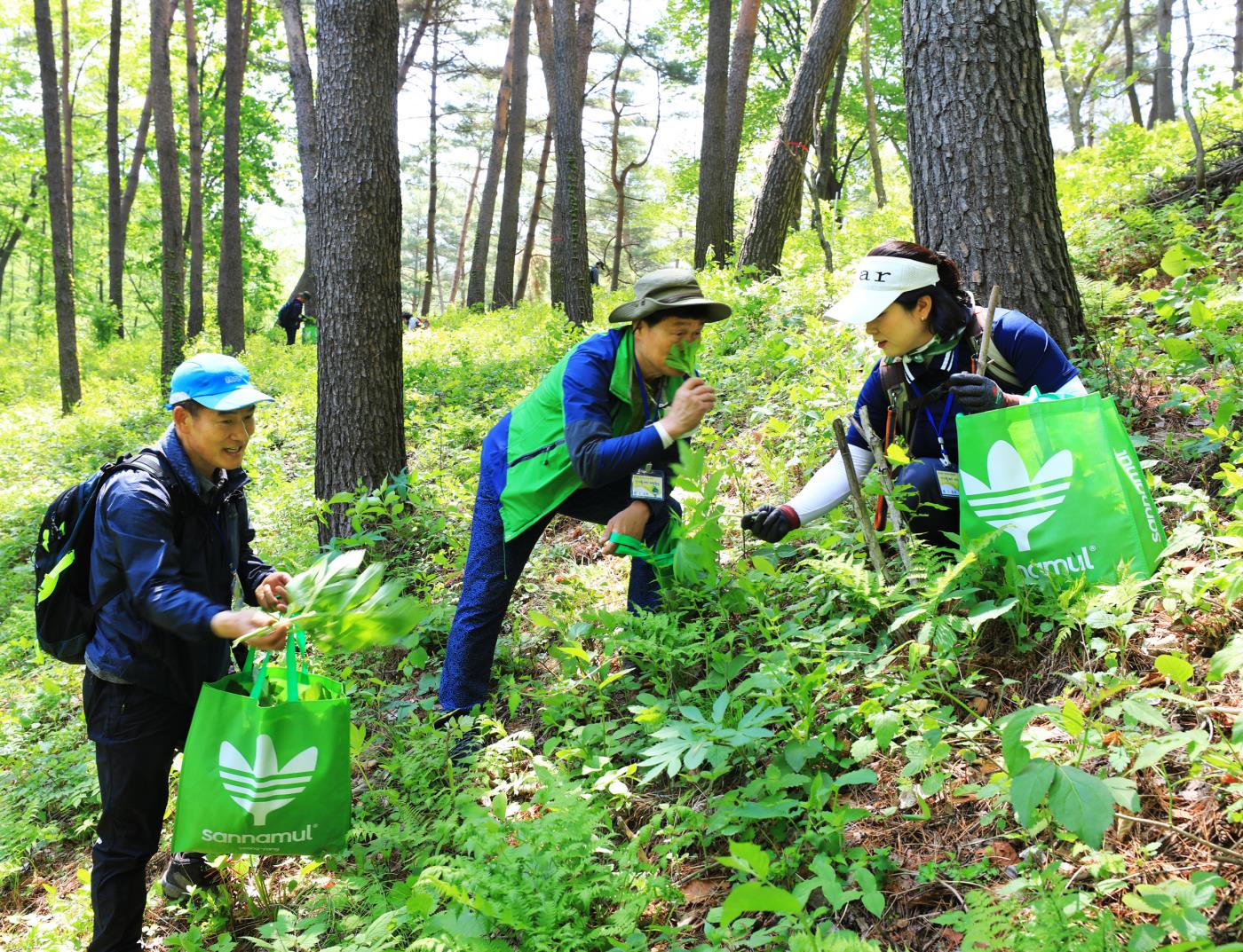 1-7 사진(산불피해 극복을 위한 영양 산나물 먹거리 한마당 개최).jpg