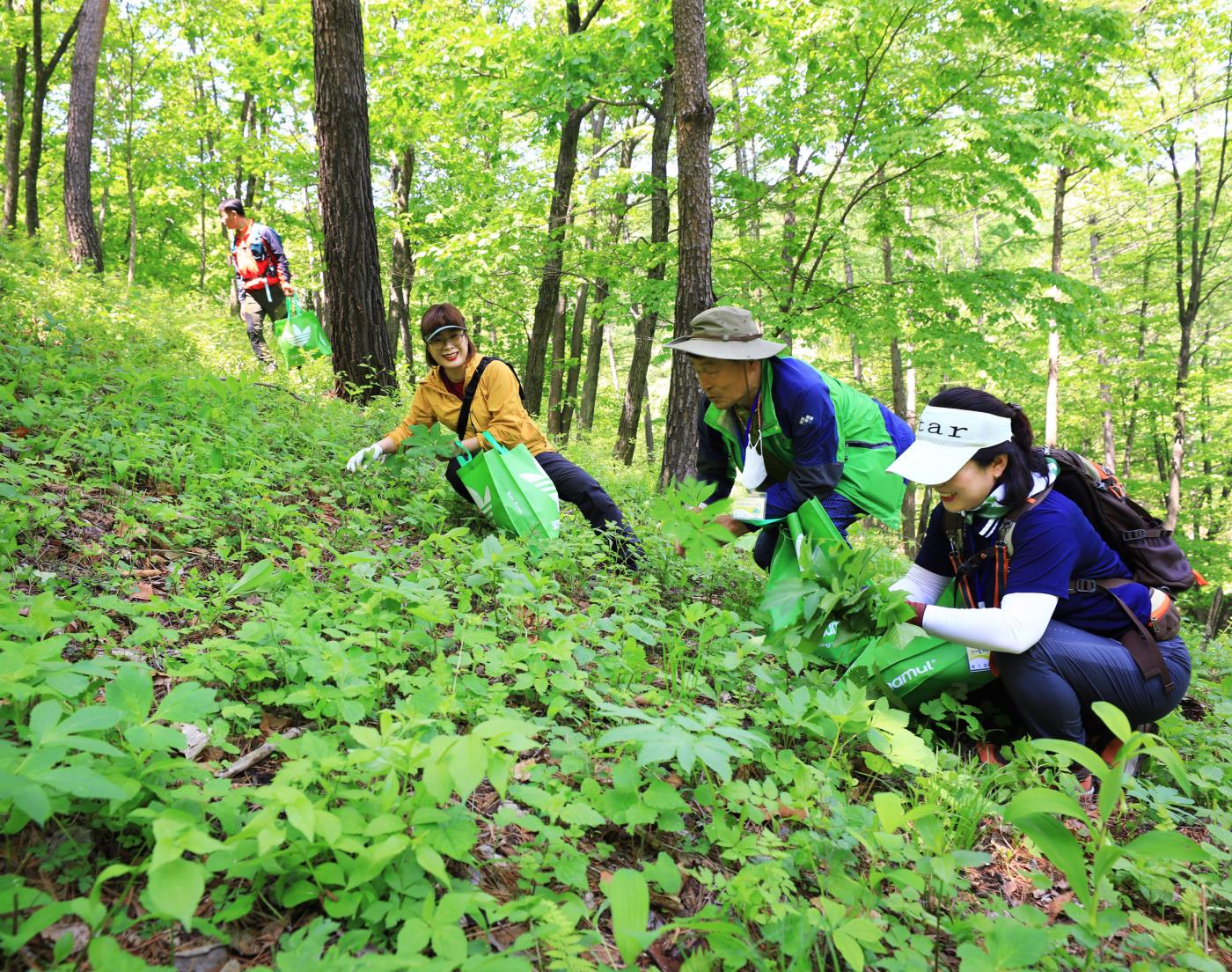 1-8 사진(산불피해 극복을 위한 영양 산나물 먹거리 한마당 개최).jpg