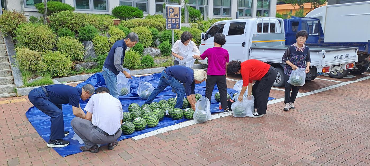 0721 예안면 지역사회보장협의체, 초복 맞이 경로당 수박 나눔 행사 개최 (3).jpg